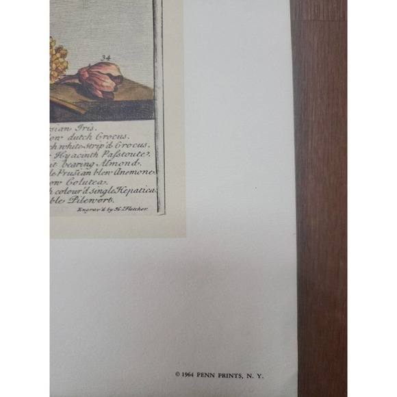 Rob Furber Gardiner At Kensington 1730 H. Fletcher "February" Month Of Flowersm. - Picture 3 of 7